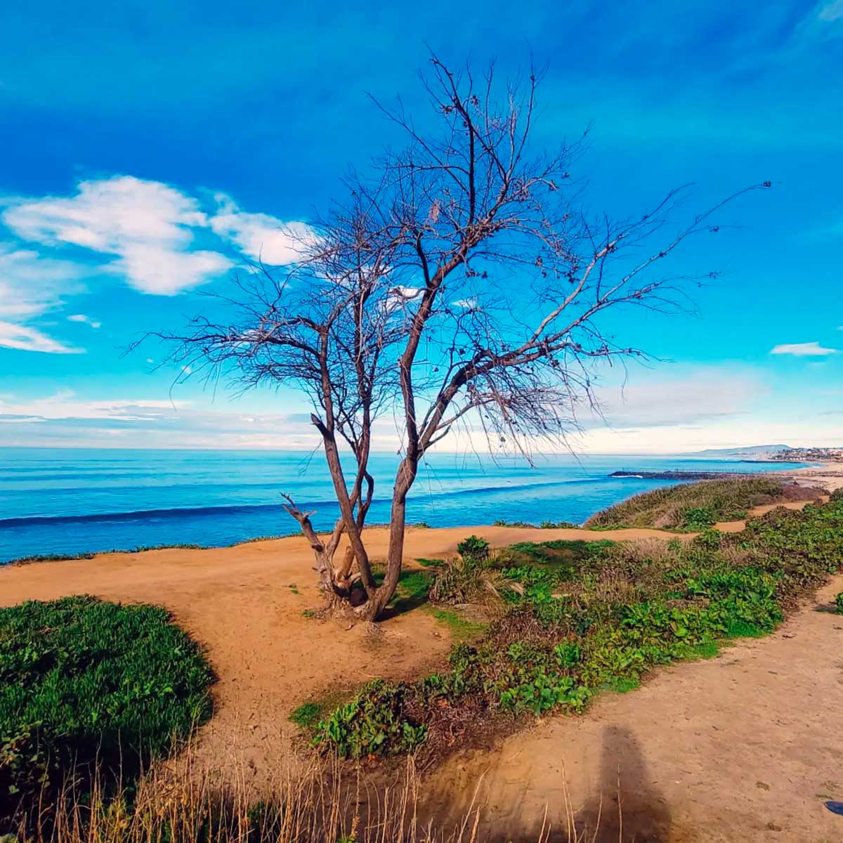 Pacific Coast Beach photograph by Captain Erica, 2022. It's tough to find loneliness when you're surrounded by such natural beauty.