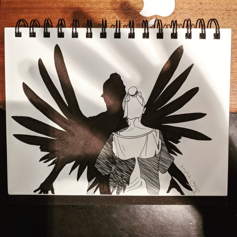 Bird Wings drawing by Captain Erica